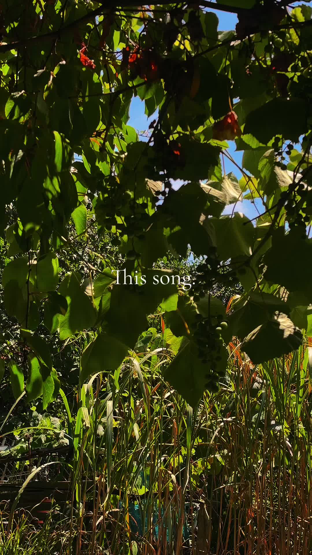 @𝙷𝙸𝚃𝚂𝚄