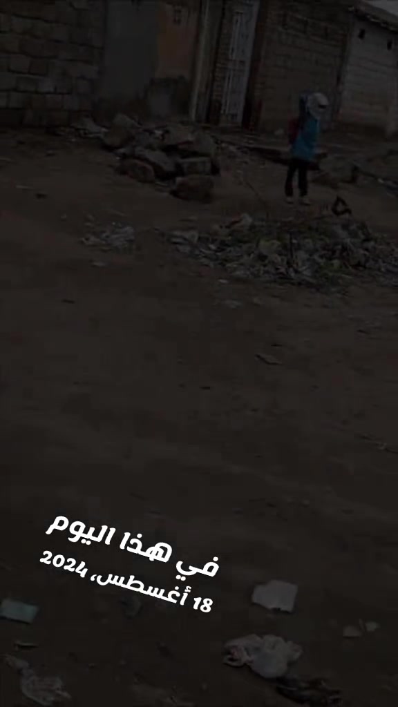 @dr zainab ahmed