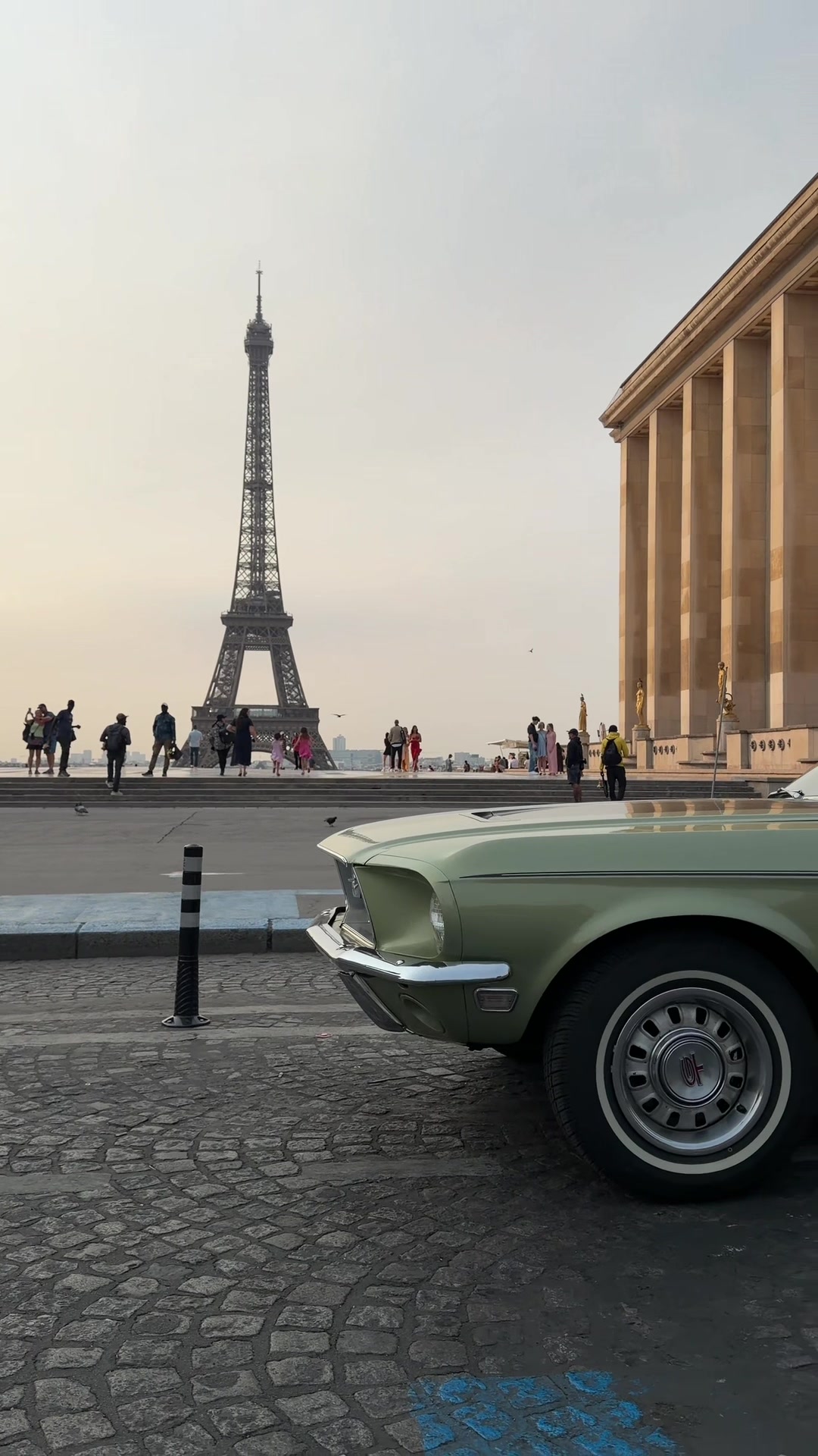 @ClassicSCodeFastback