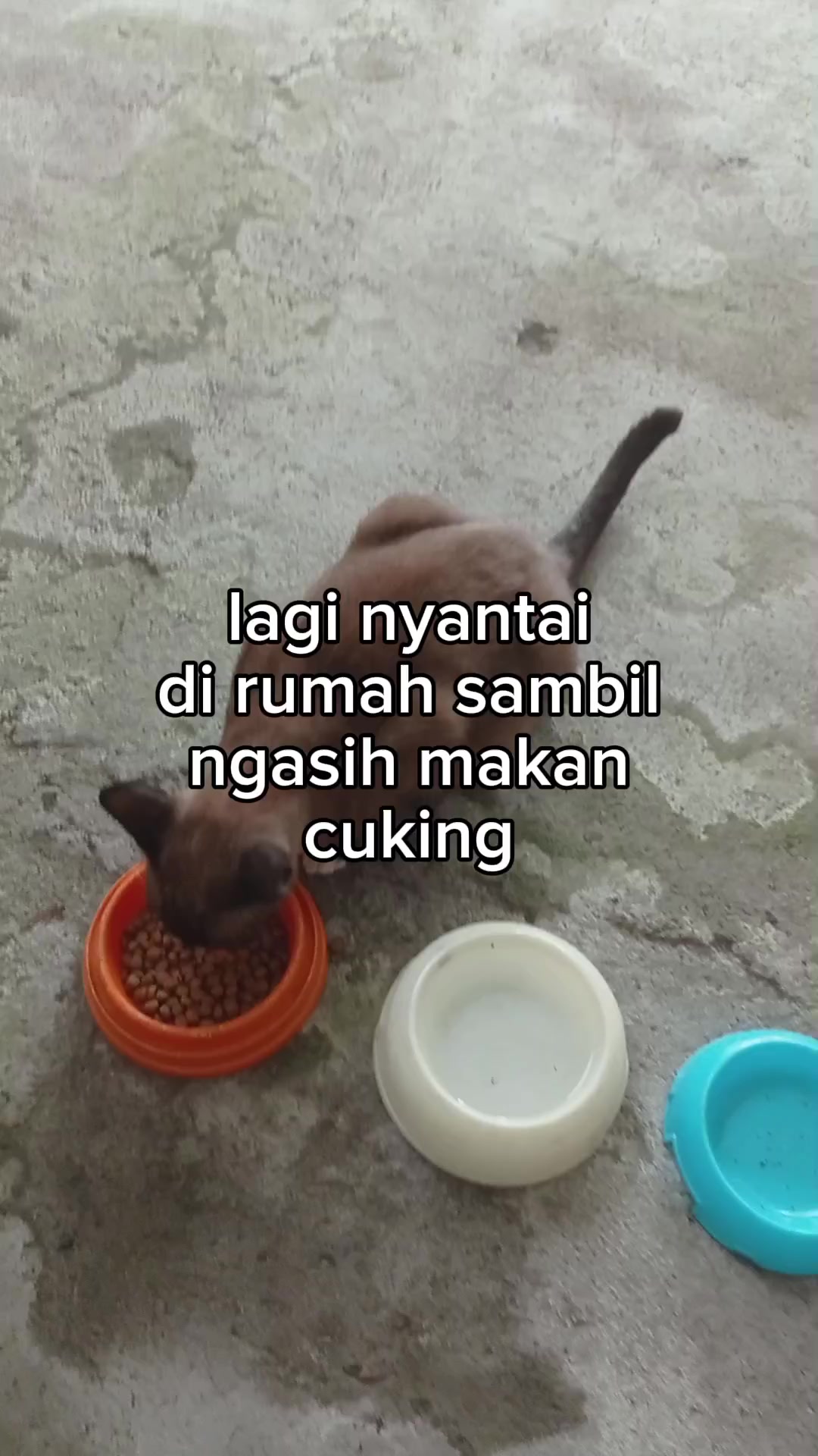 @Abdul Fathur Majdi