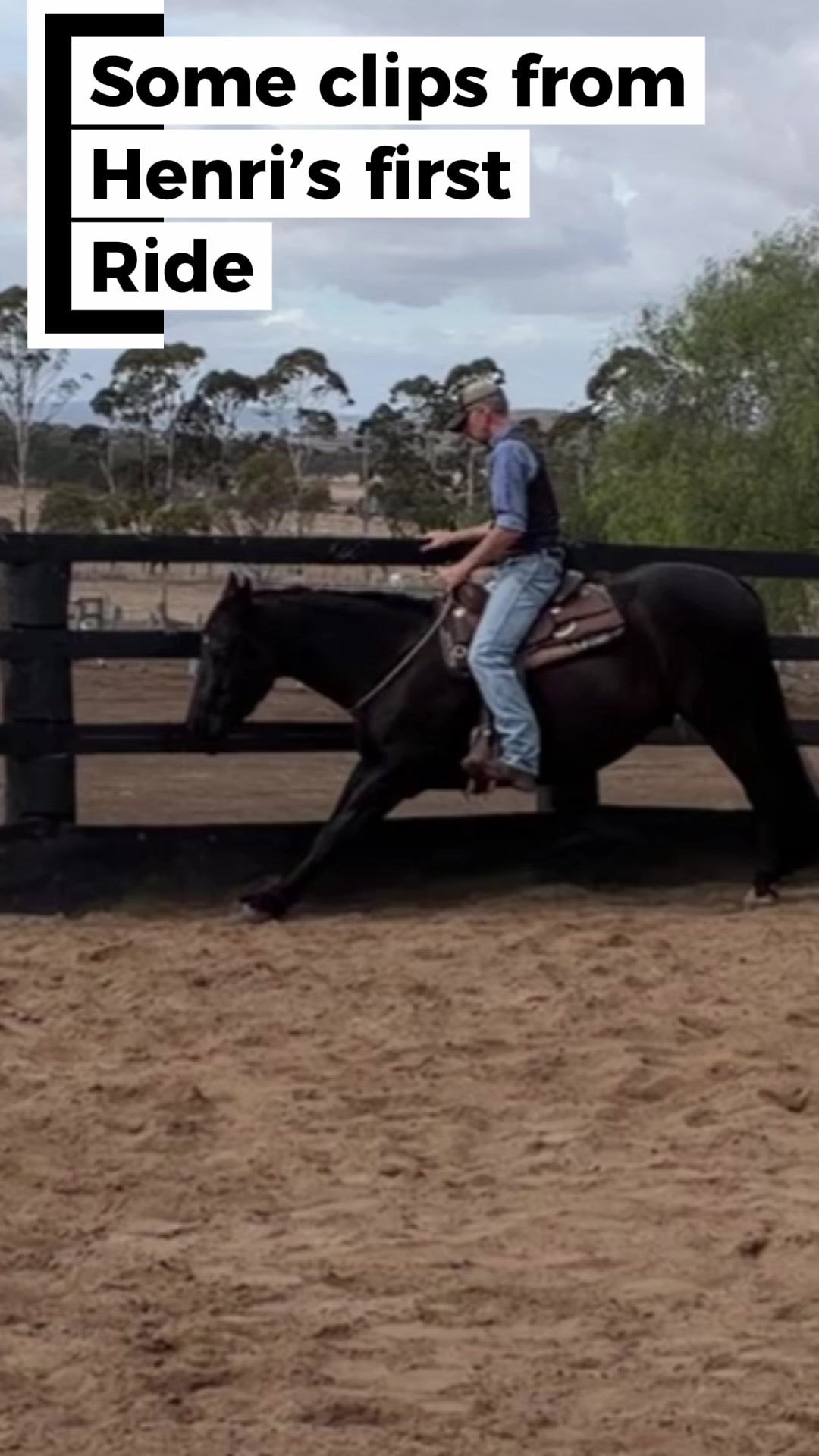 @KimDaleyhorsemanship