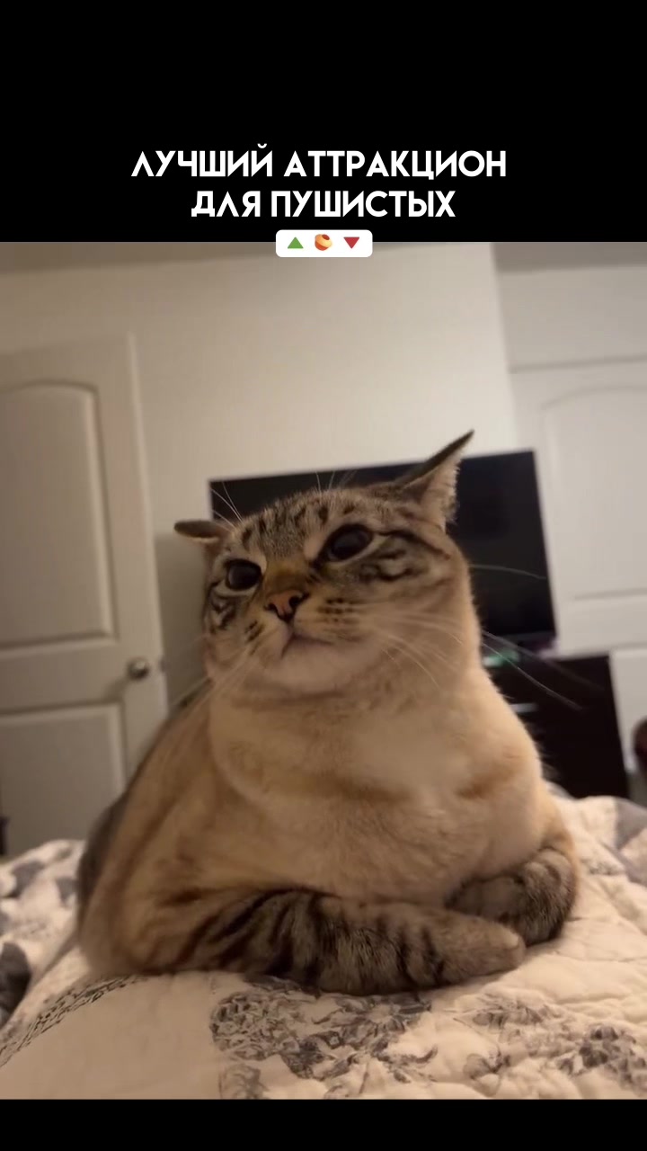 @Pikabu