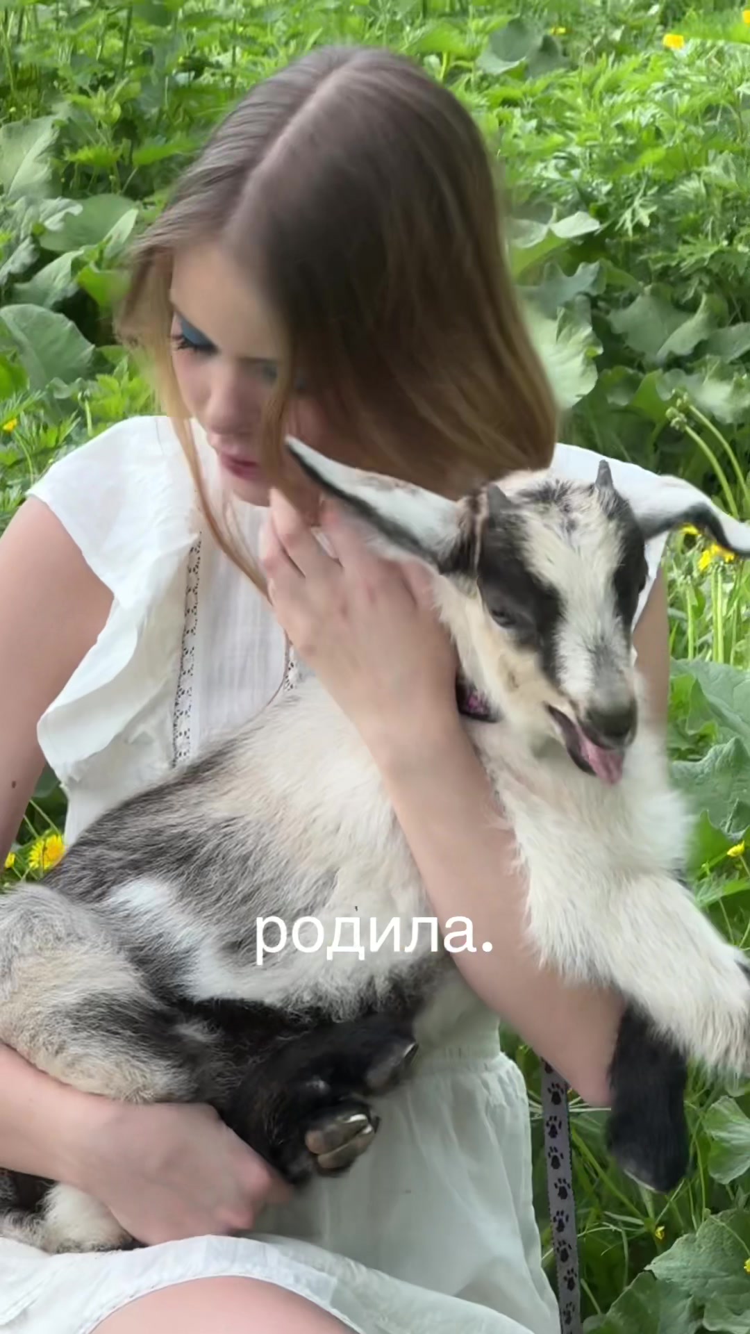 @тгк: КАЗАра