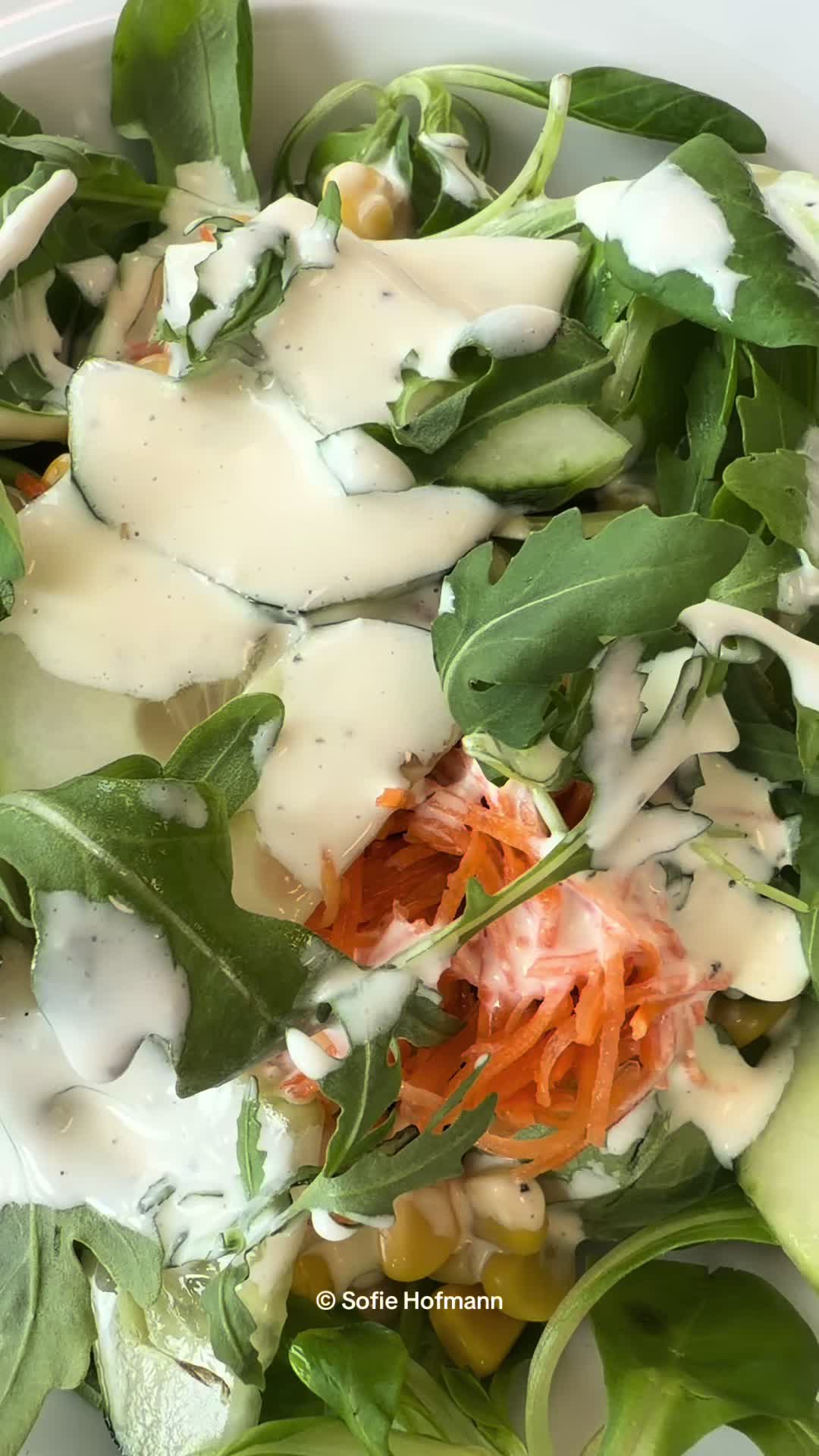 @SofieHofmann.com
