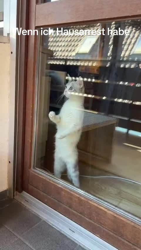 @T.a.n.o1