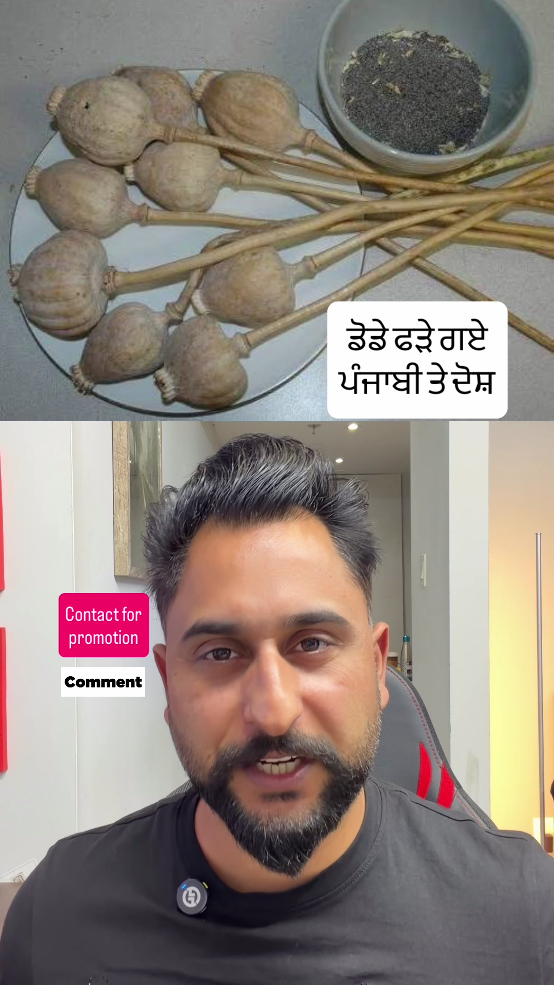 @gaundapunjab