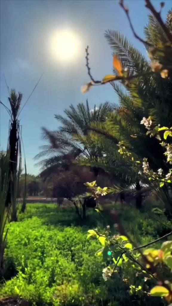 @عٌأّأّأّأشٍقِ أّلَعٌيِّوِوِوِن