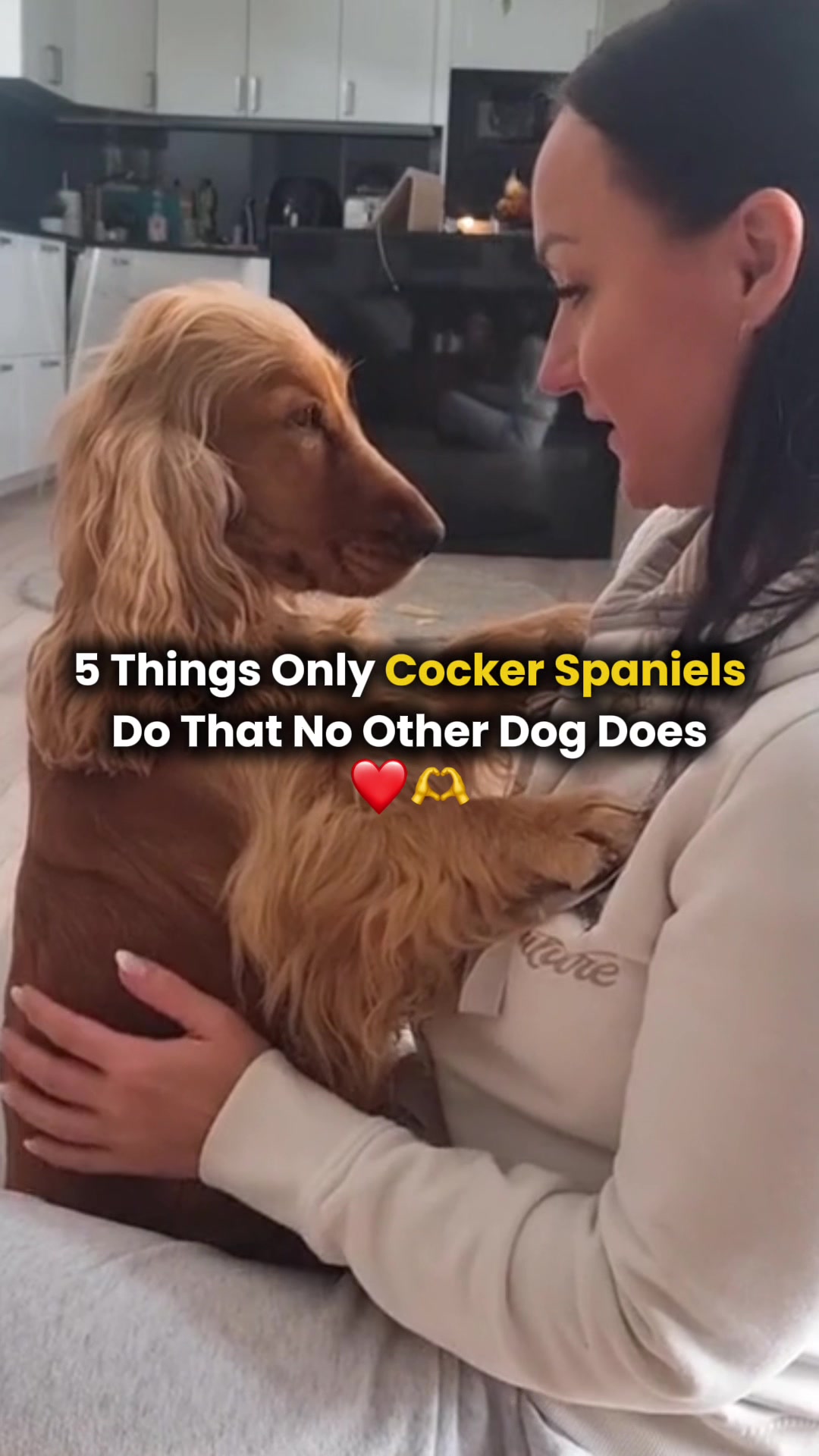 @Real Barks