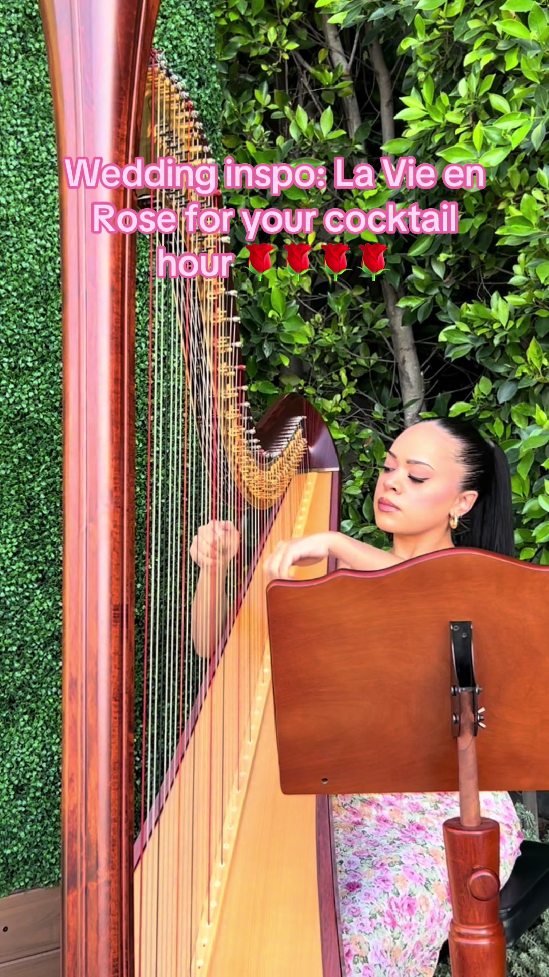 @betaniarodriguezharp