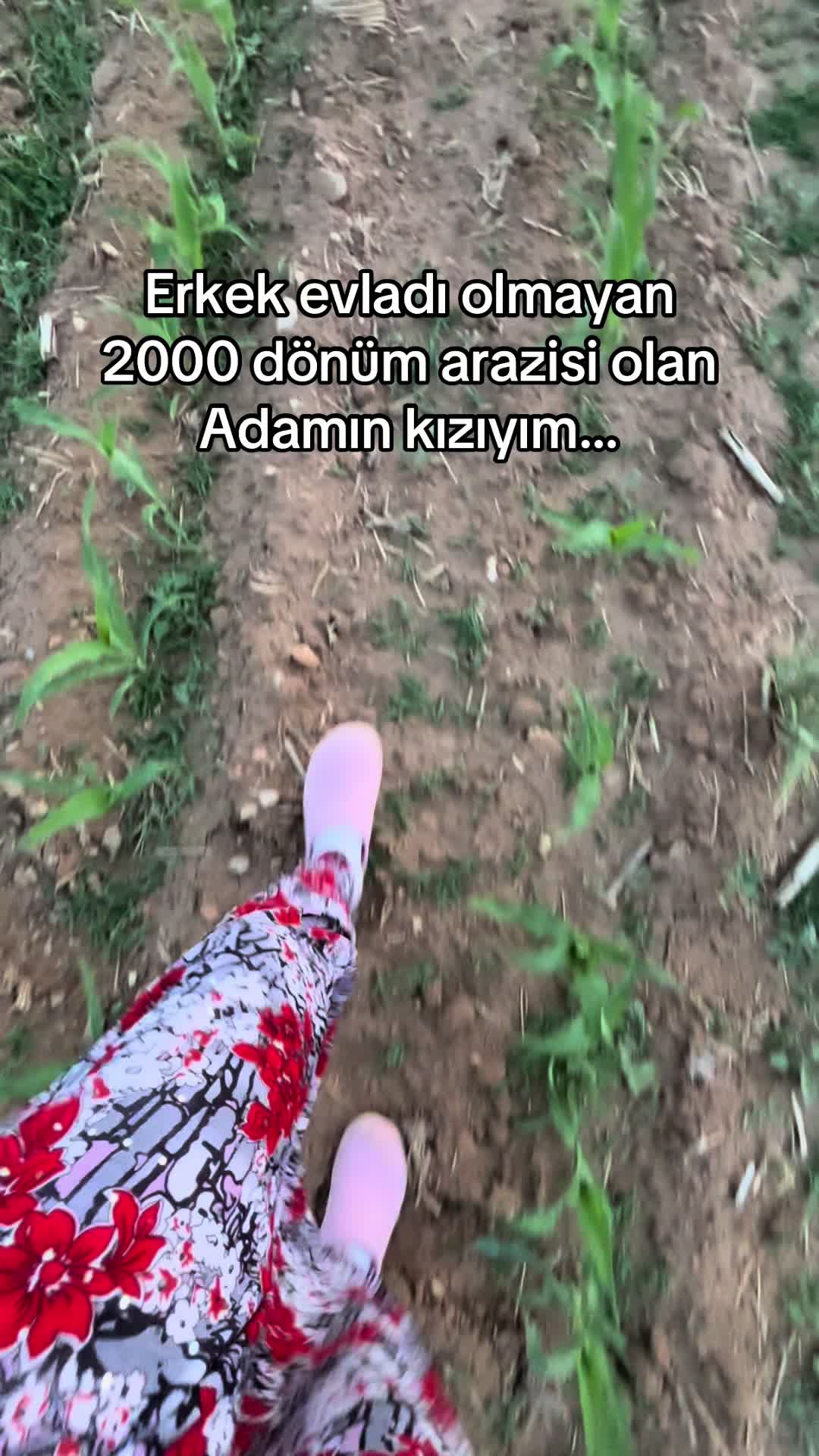 @Ayşe Karahan
