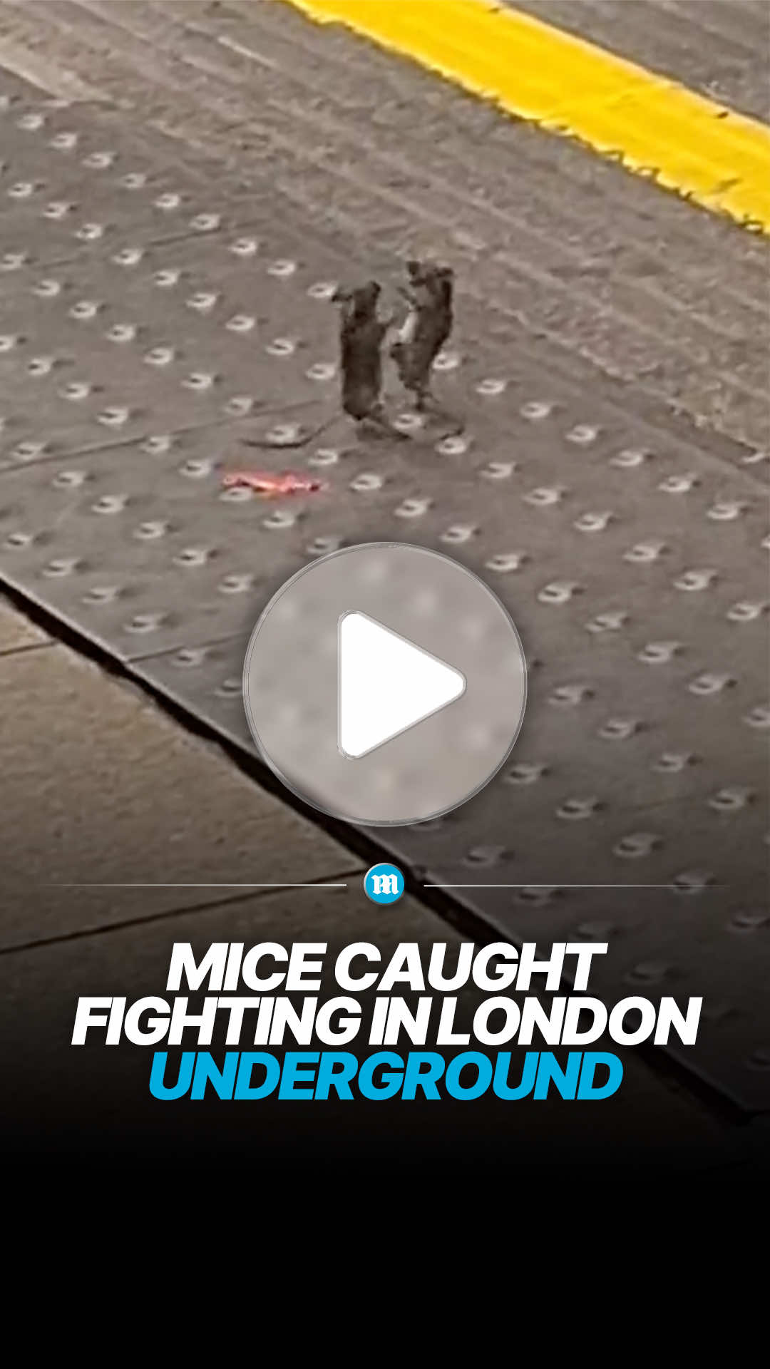 @Daily Mail UK