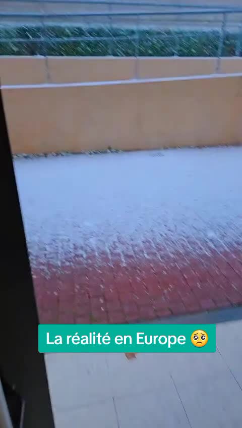 @la vie est belle