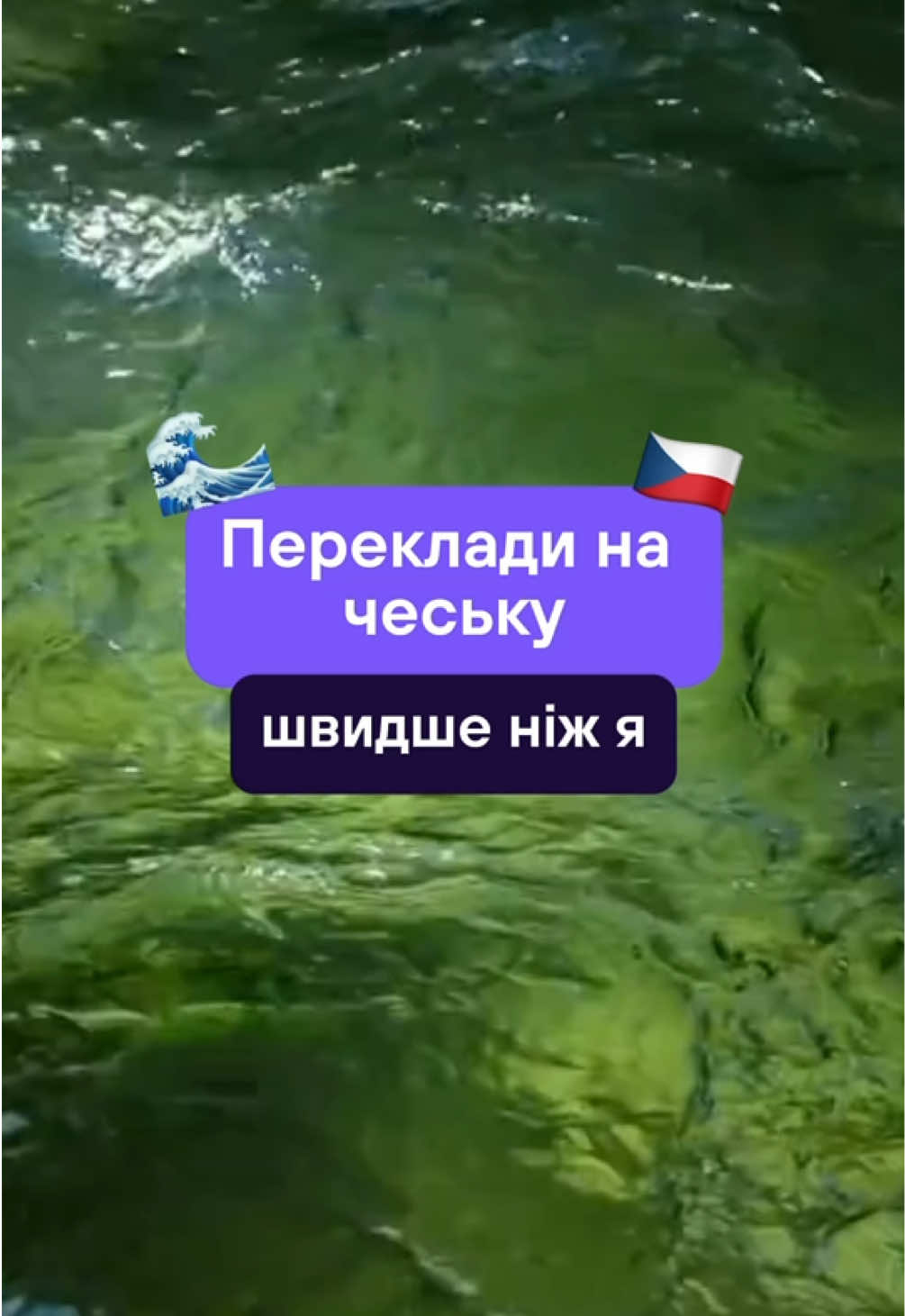 @Артем | Чеська мова | KOVER