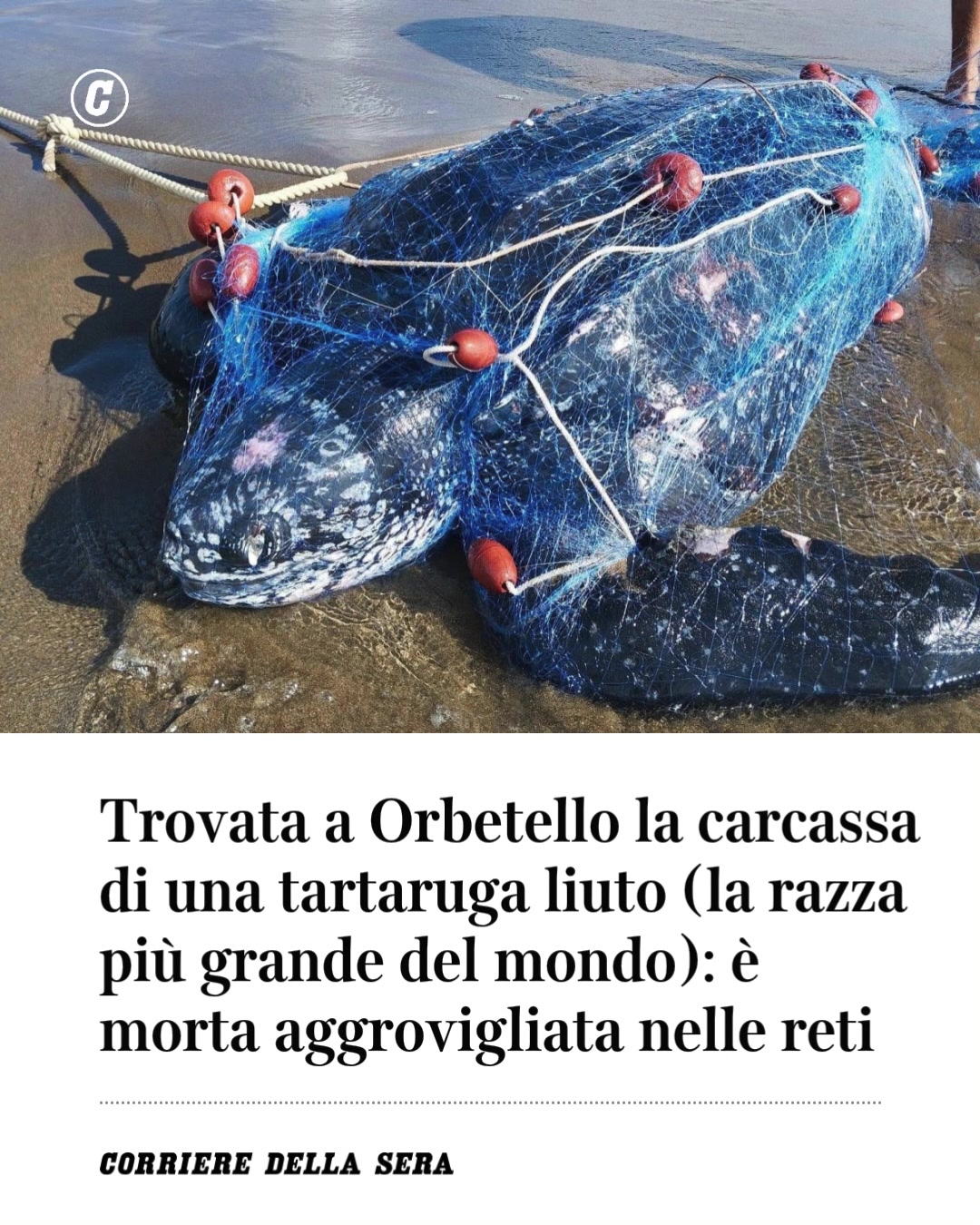 @Corriere della Sera