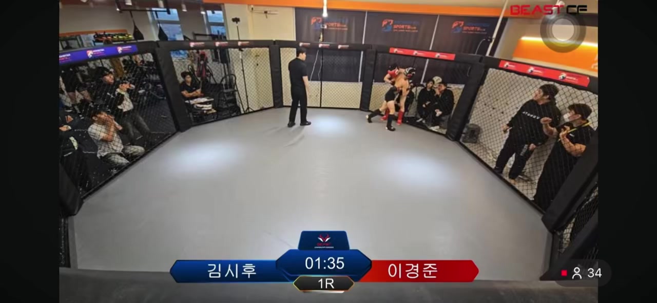 @bibigo_mma