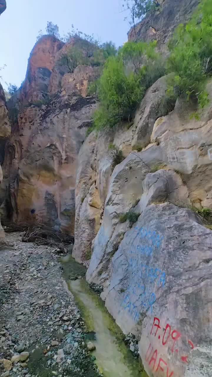 @Avrupadaki_Corumlular_19