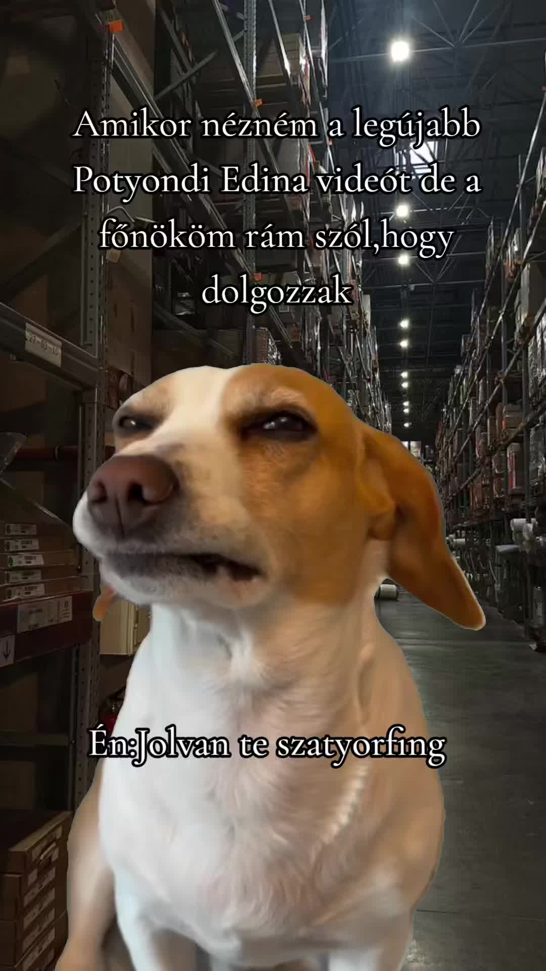 @Istu