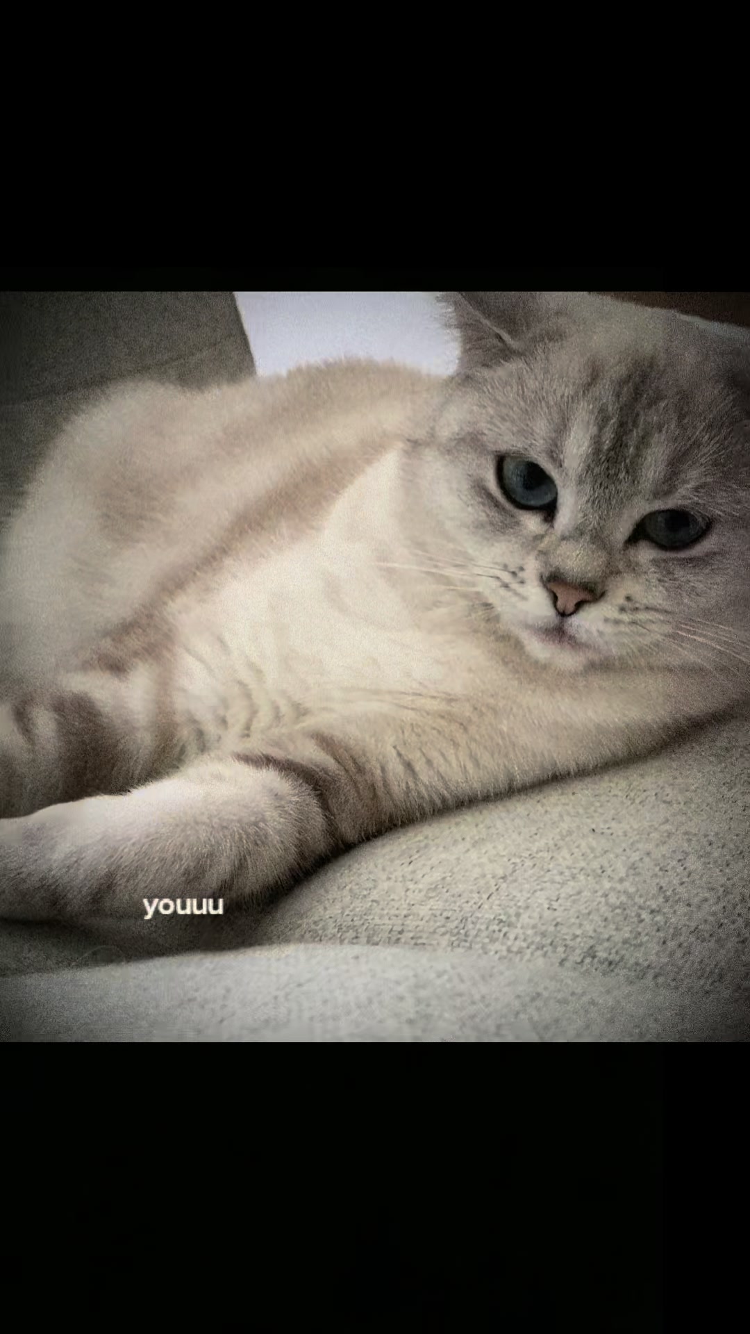 @Maya