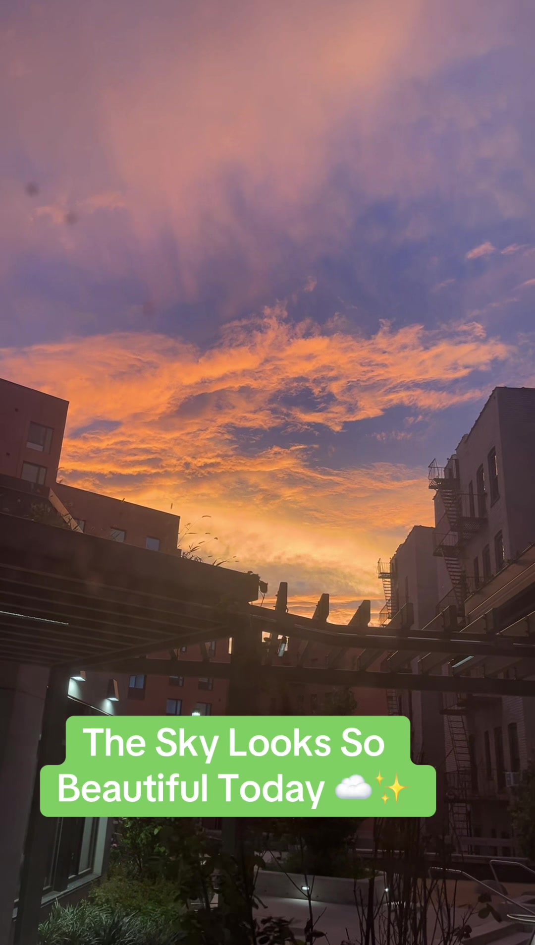 @LifeinFramesNYC