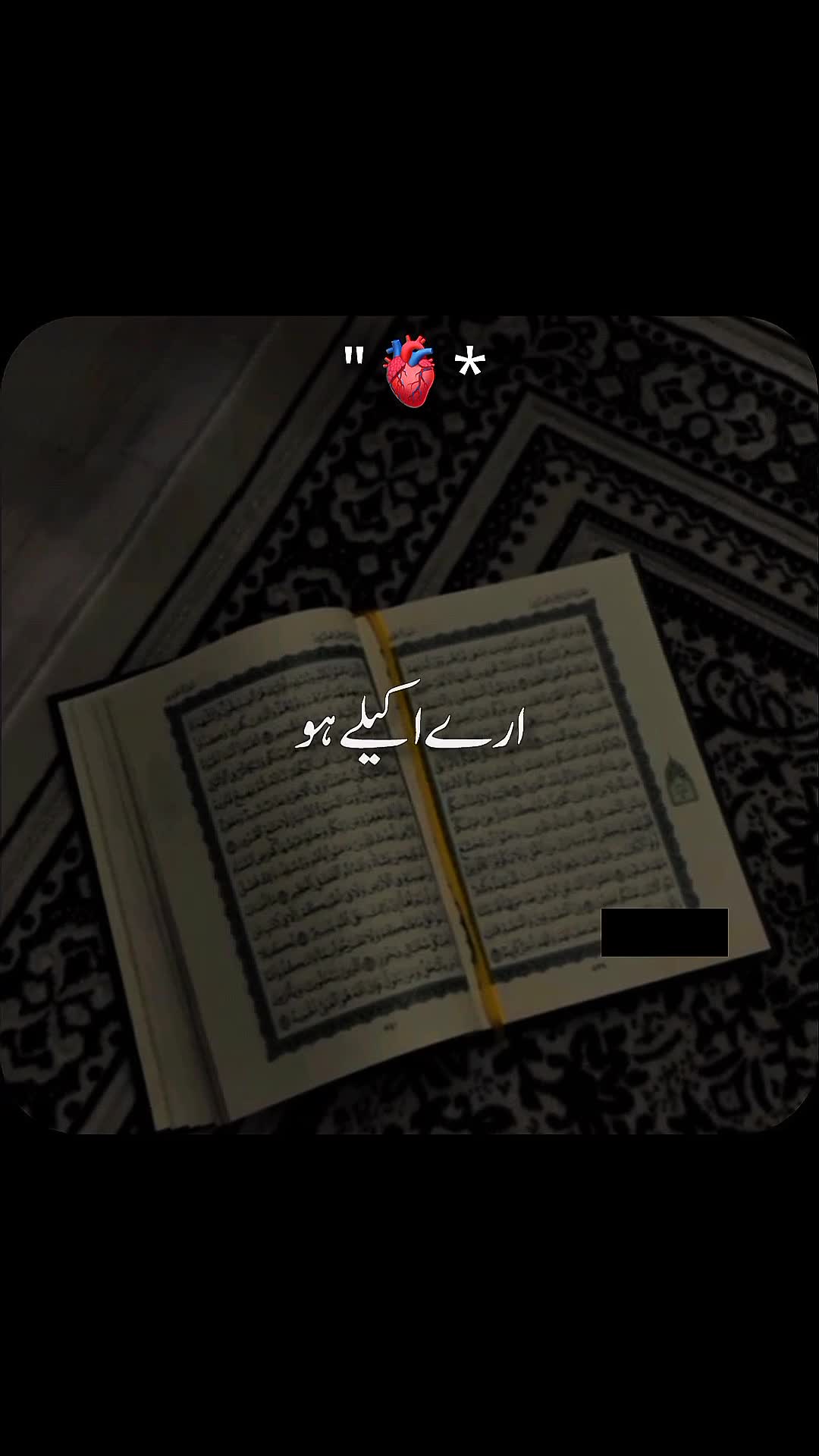 @✨dilawar edits✨