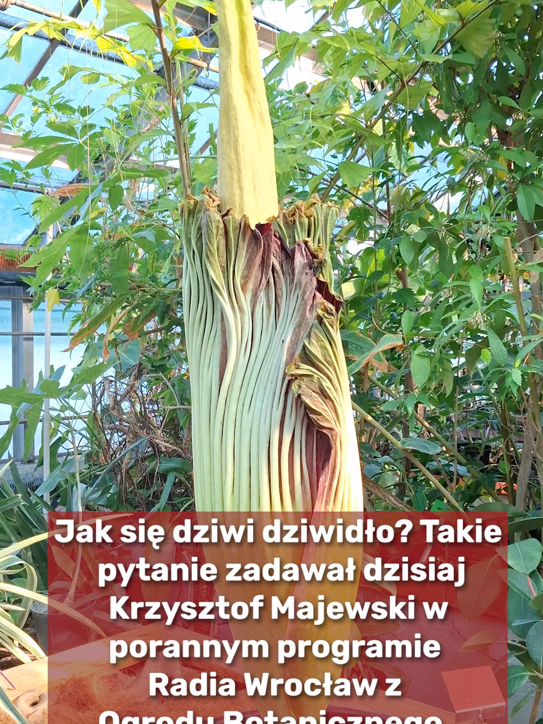 @Radio z Dolnego Śląska