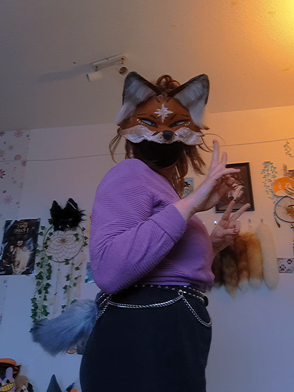 @Skylight_Fox