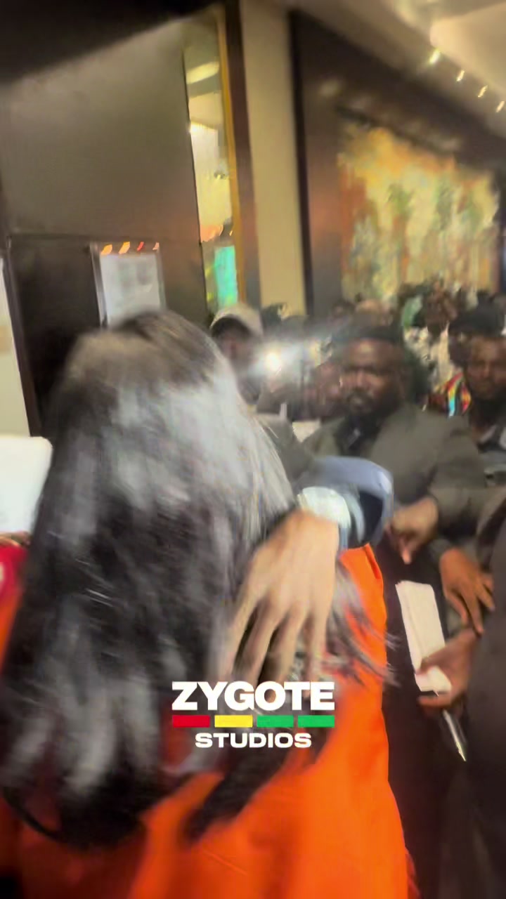 @zygotestudios