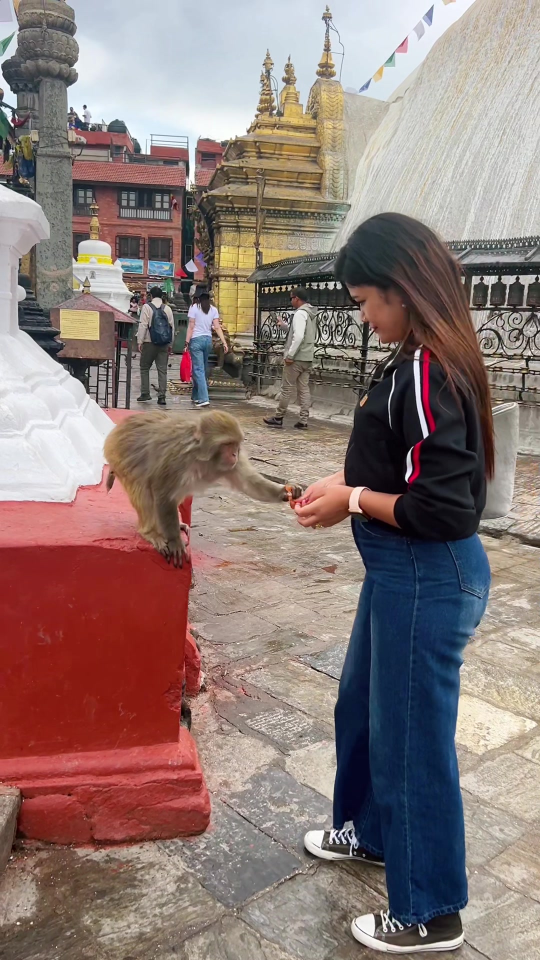 @sushma pokhrel