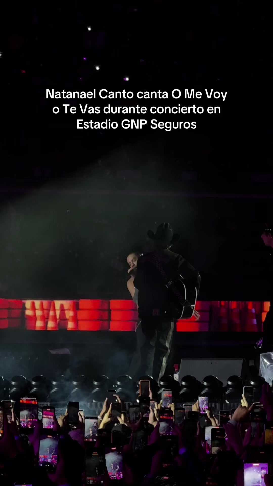 @tomás mier