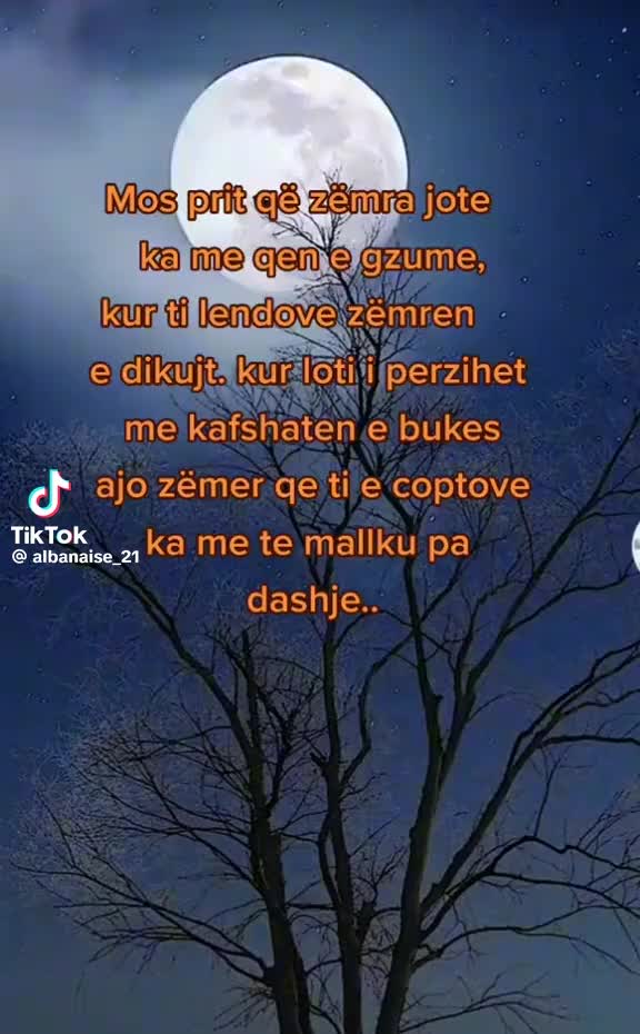 @🇦🇱🇮🇹ALEANDRO OFFICIAL🇦🇱