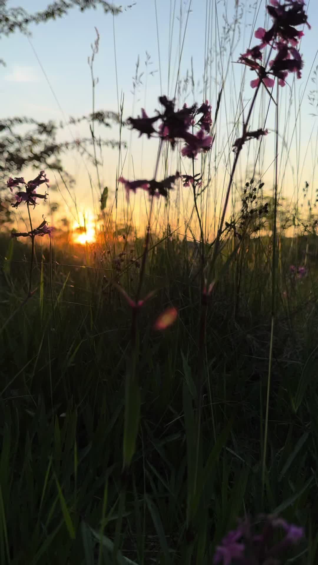 @CarinaWestcoastSweden🇸🇪