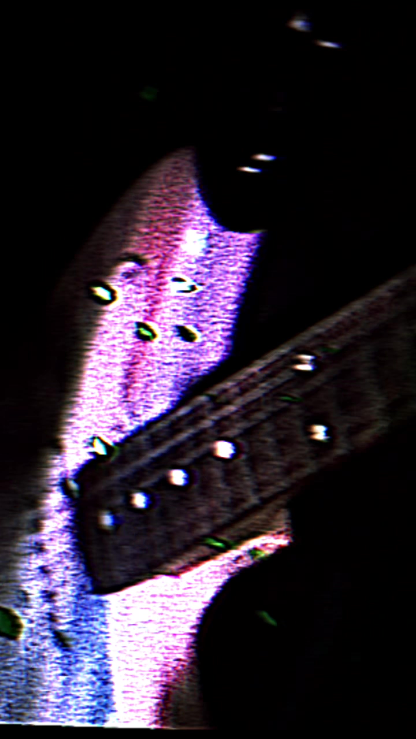 @paperflowersband