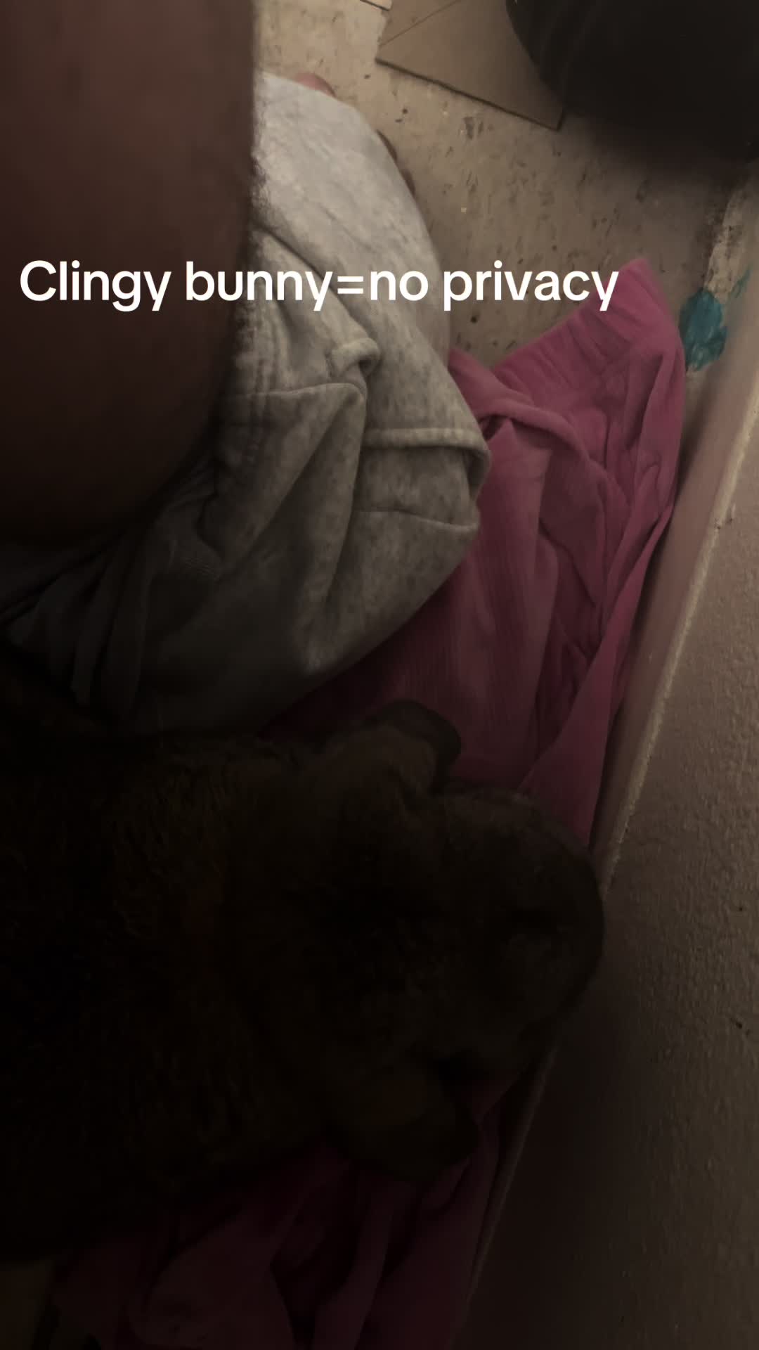 @Fadedbunny69