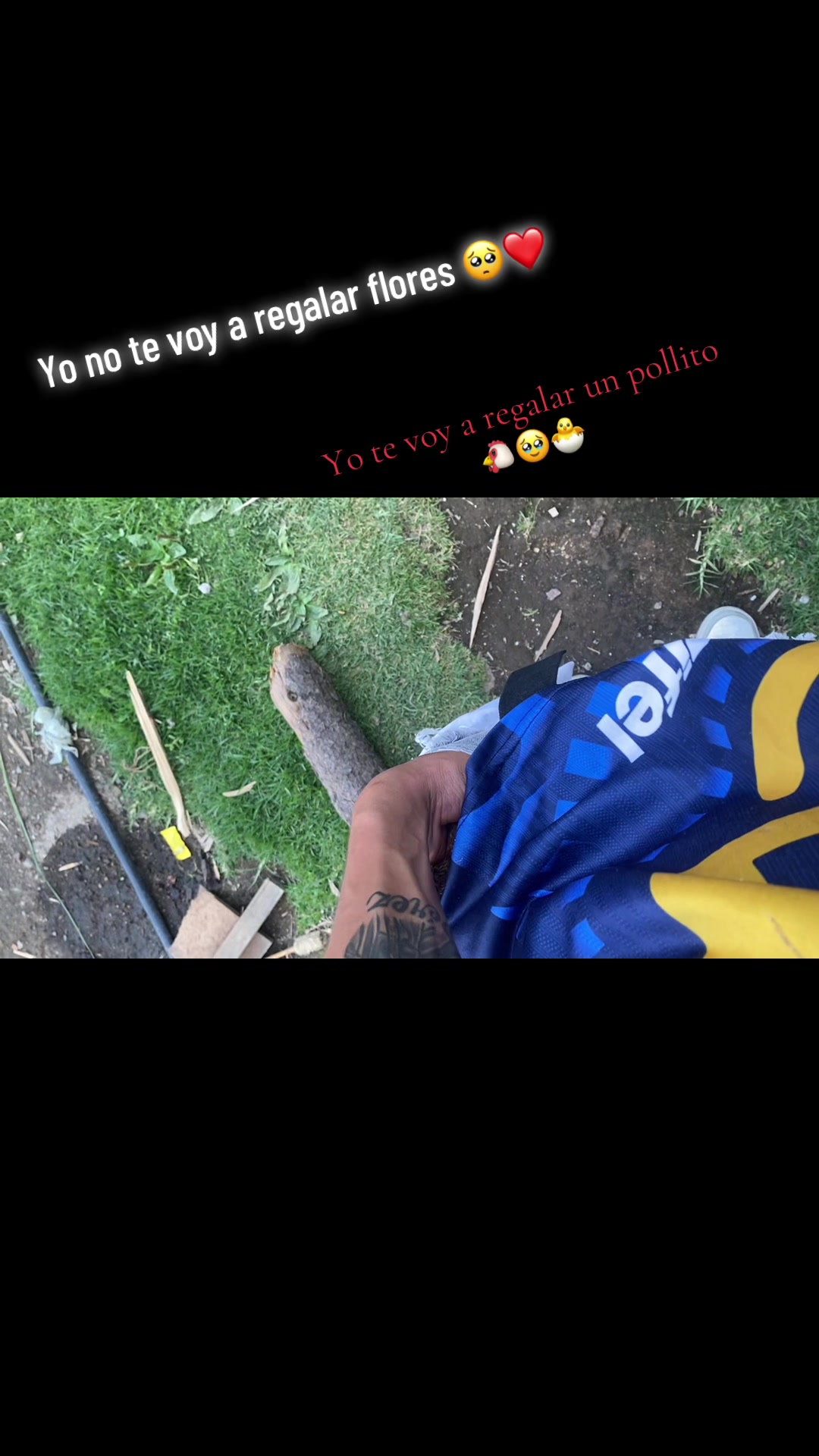 @CARLITOS@162008