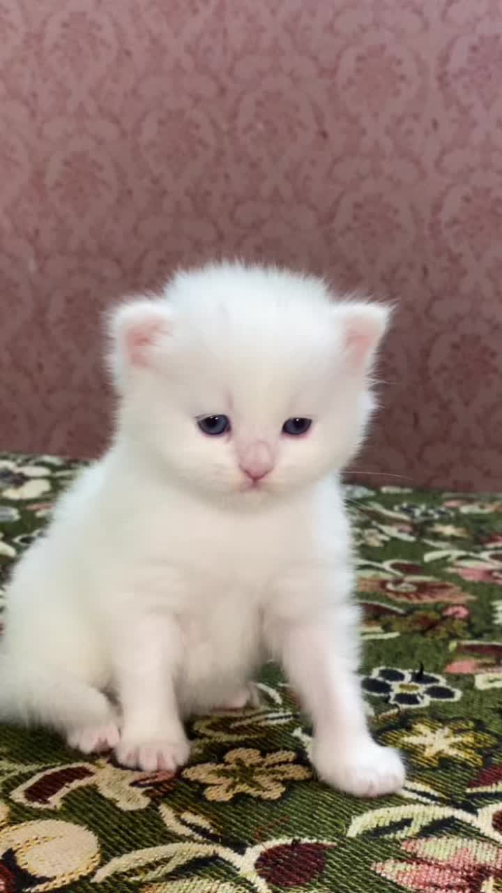 @_oreology_