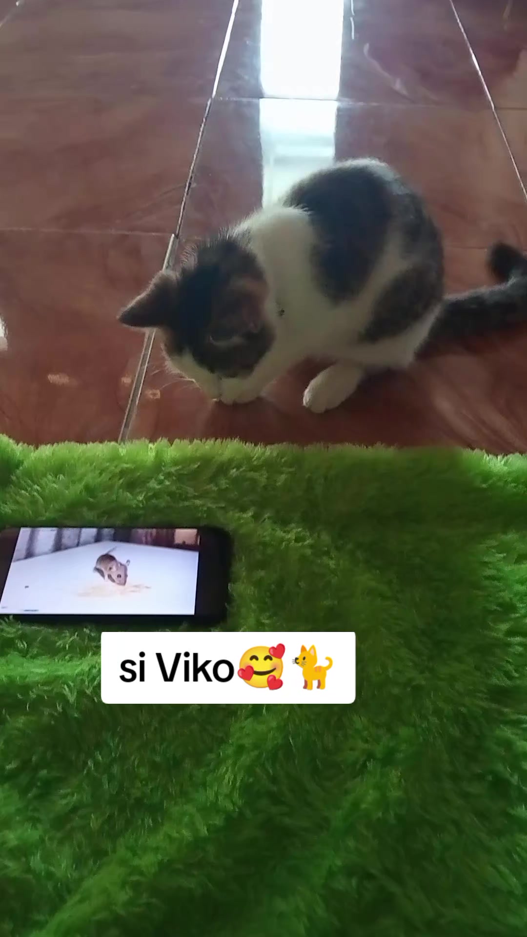 @Rizqi