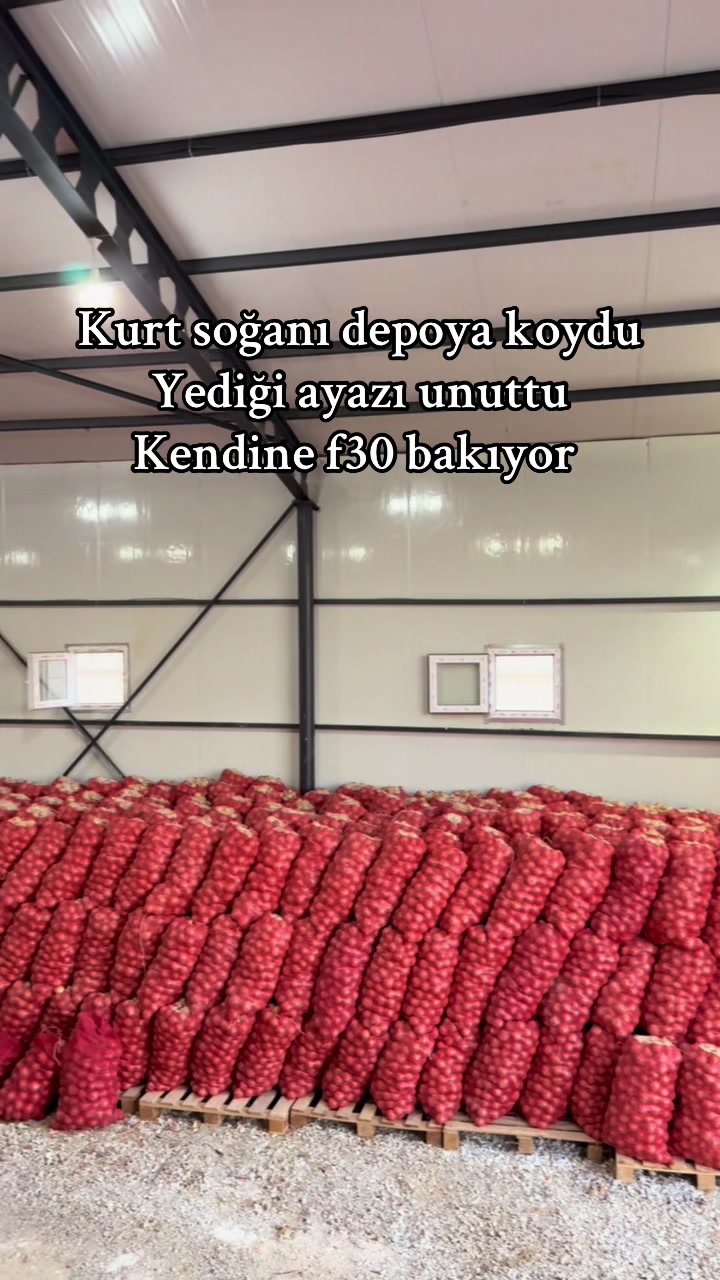 @Taha Er&ccedil;etin