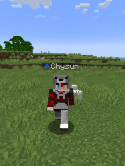 @Chysun