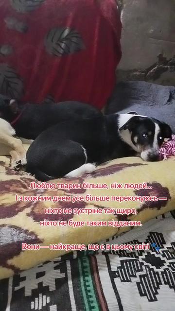 @viktoria)
