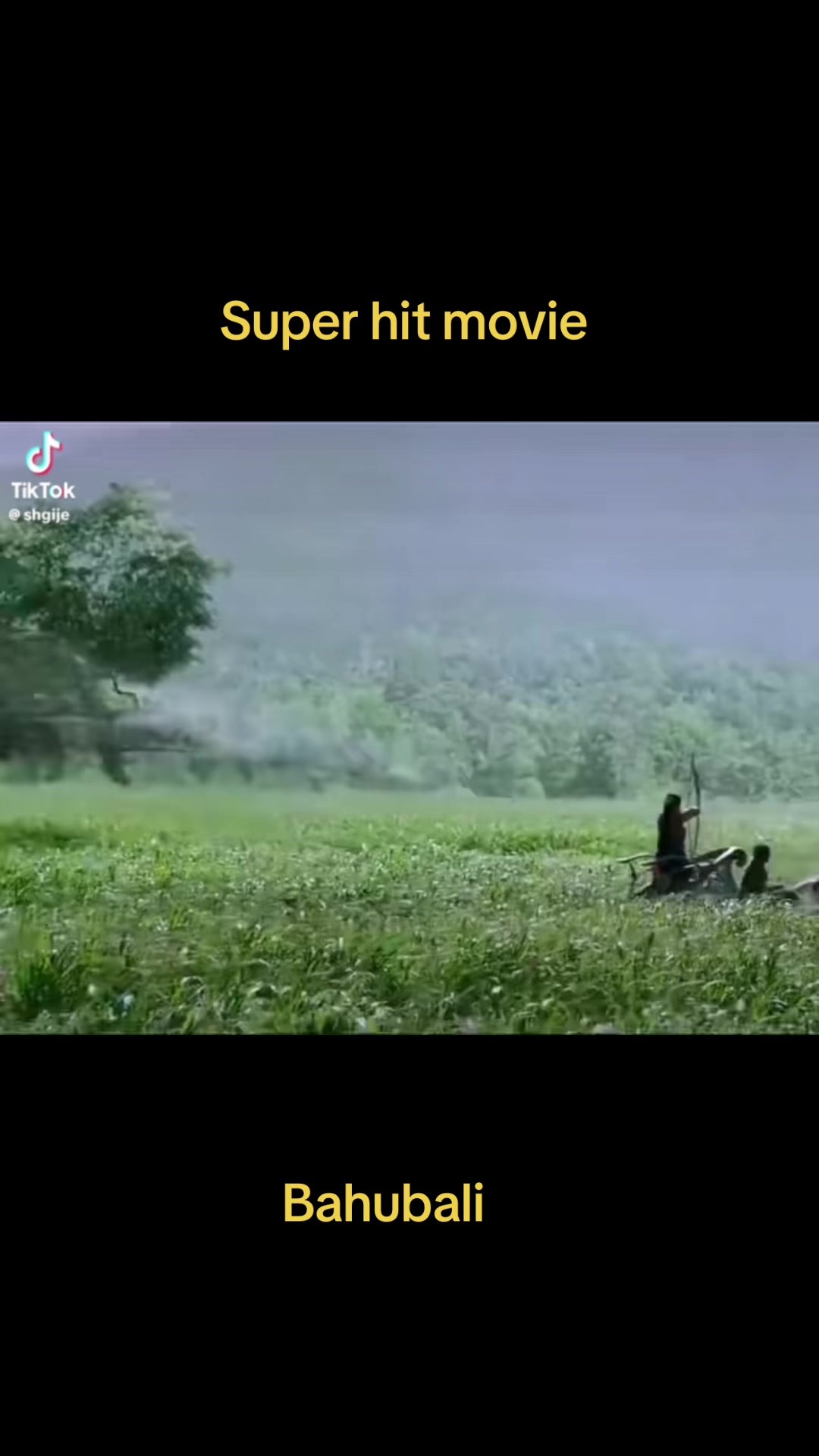@ankitkumar_raval