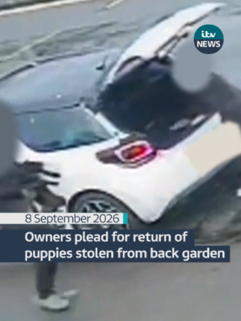 @ITV News