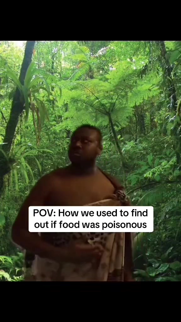 @mikeyalexandre