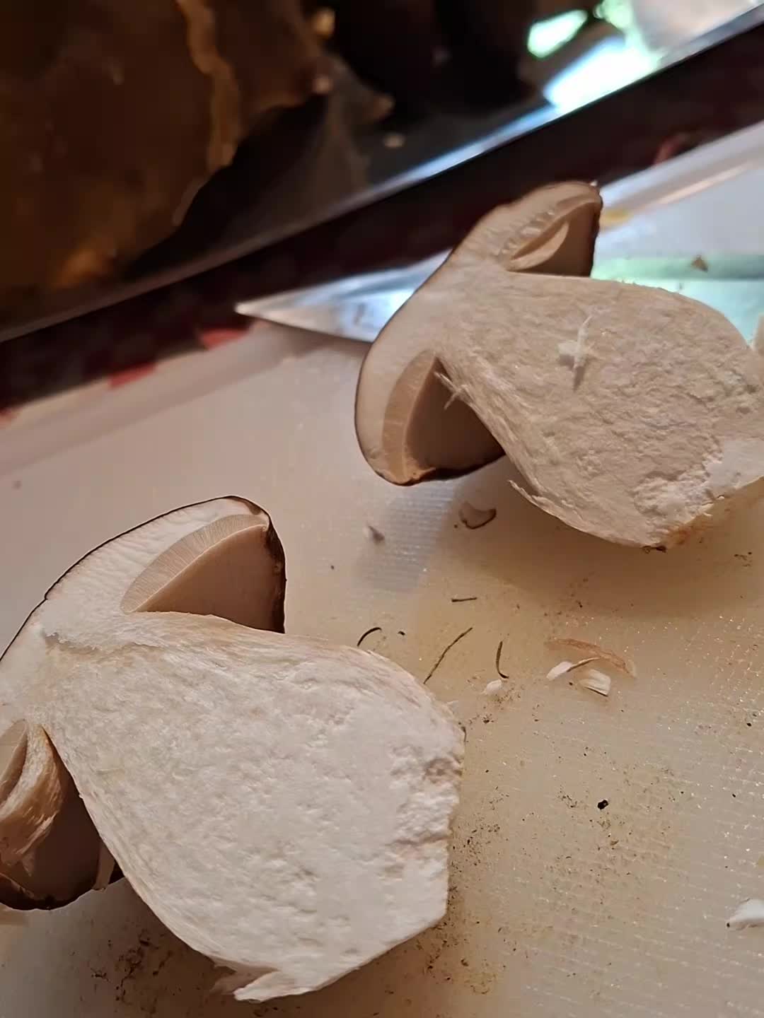 @vespeettooo