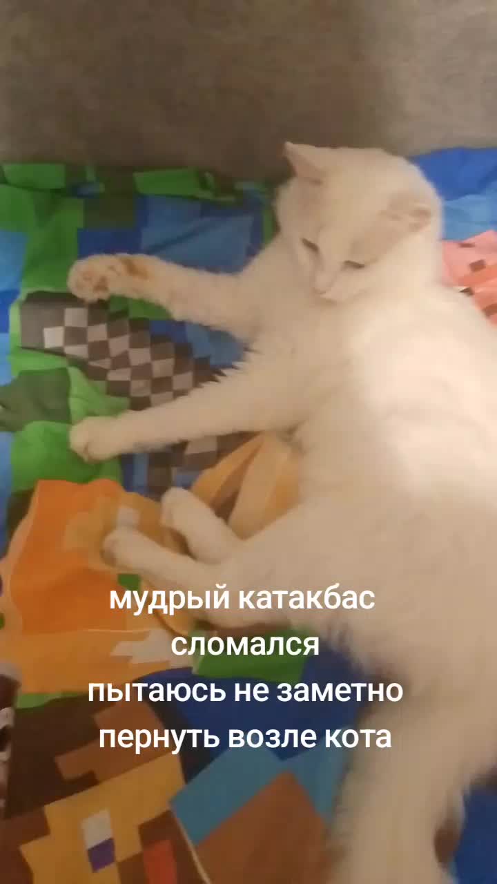 @lolixqw