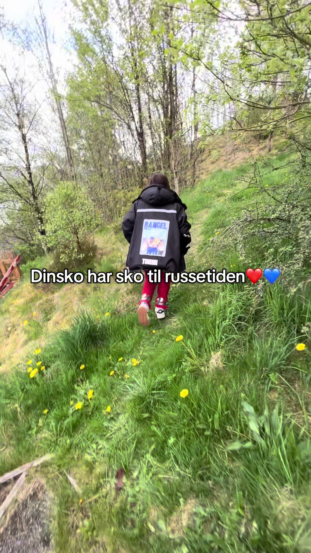 @DinSko