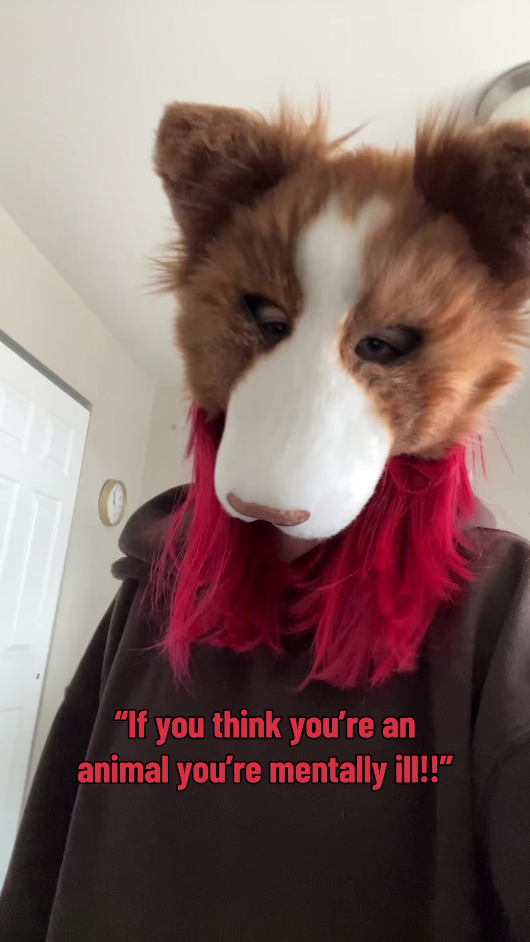 @🦴  ɢʀᴇʏ ⋆˚꩜｡