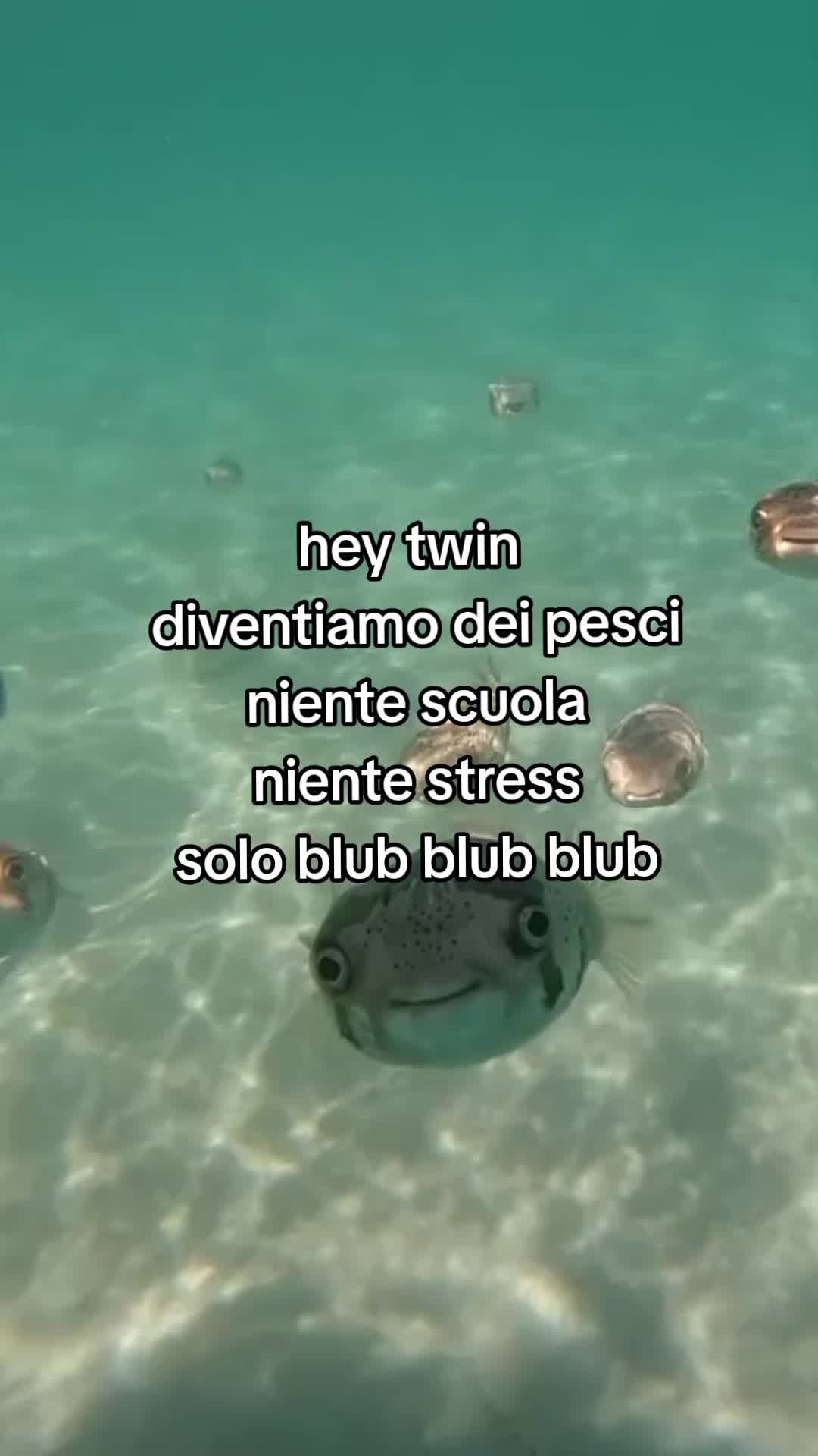 @il.TikToker.Sardo
