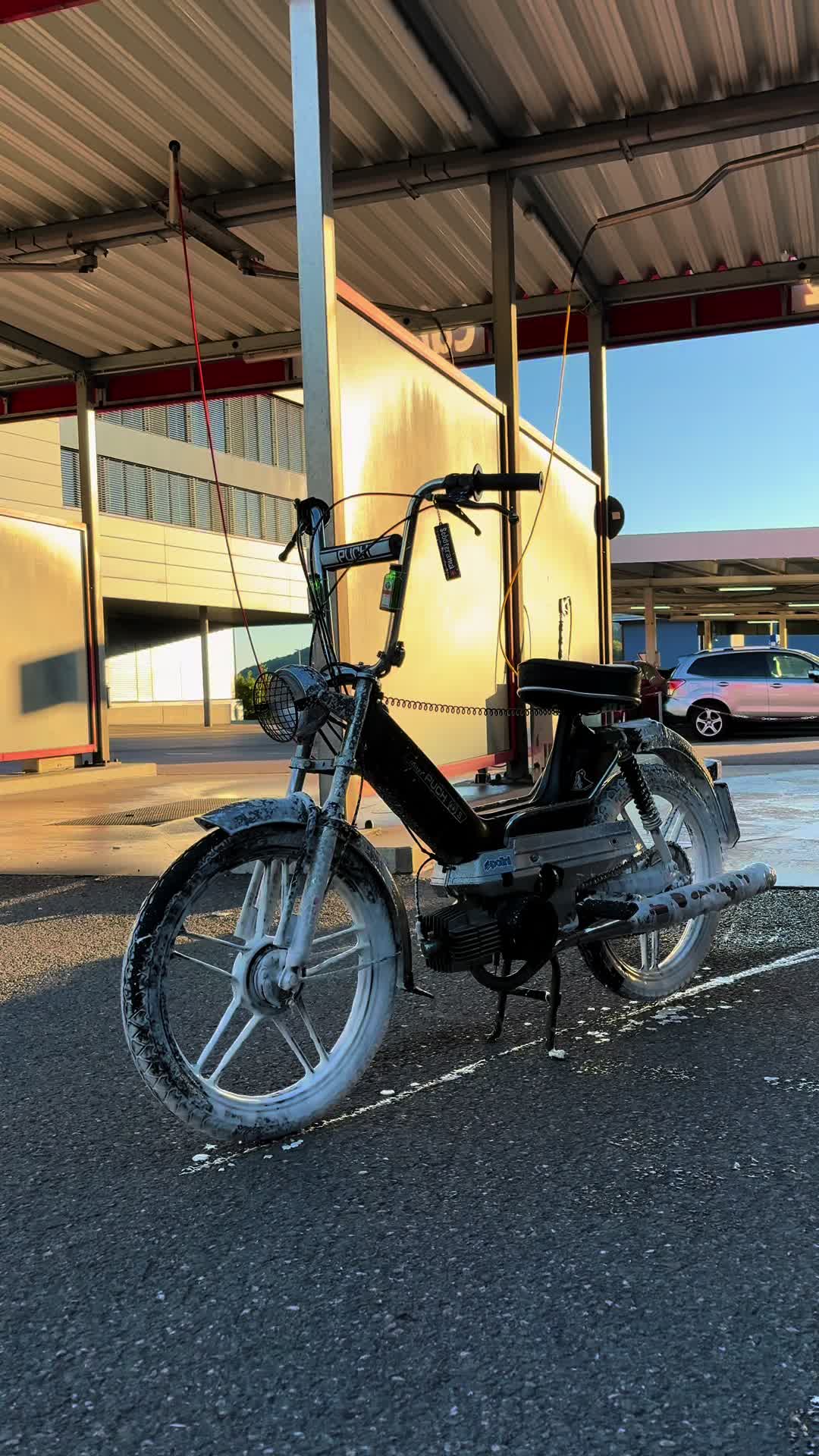 @Black_Puch_swiss