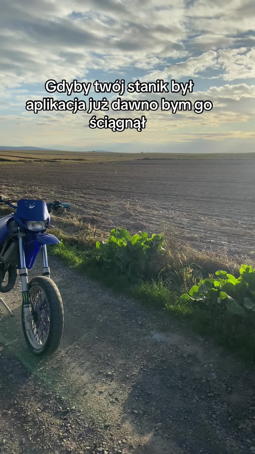 @dawidekk_._
