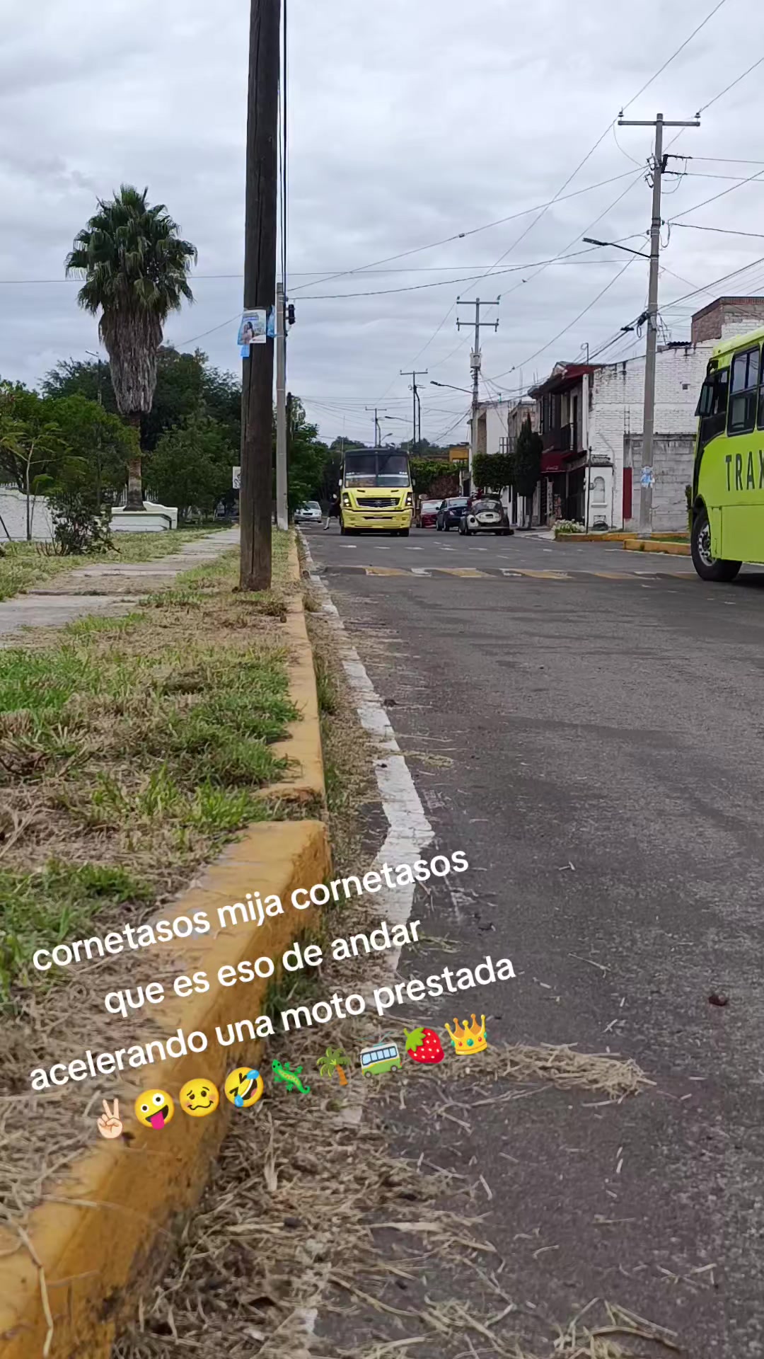 @🍓👑Cachondito'ssvip🔥🌴